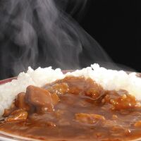 【倉入れ】 野口英世　会津青春通り　会津青春カレー (ケース入数：20,ロット：5)