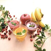 【倉入れ】 「Dean＆Co.」 果実の恵みセット (ケース入数：10,ロット：5)