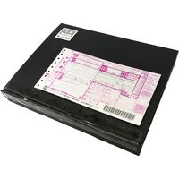 岐阜 飛騨牛 切り落とし