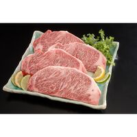 長野 信州プレミアム牛肉 サーロインステーキ 220g×4