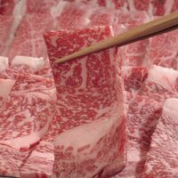 神戸牛&松阪牛&近江牛 三大和牛焼肉食べ比べ