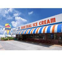 沖縄 ブルーシールアイス 計12個