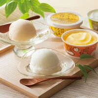 高知 Made in 土佐「南の国の高知アイス」高知アイスセット