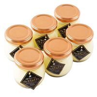 北海道 十勝橋本牧場 BrownSwissプレミアムプリン