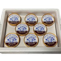 十勝アルプス牧場濃厚ショコラアイス8個セット