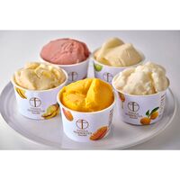 スペシャルセール 「銀座千疋屋」 銀座プレミアムソルベ  5種詰め合わせ (計10個)