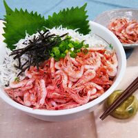 静岡 「石原水産」 駿河湾産 釜揚げ桜えび＆しらすセット（釜揚げ桜えび80g×3、ゆでしらす130g×4）