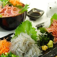 静岡 「石原水産」 駿河湾産 生桜えび＆生しらすセット（生桜えび160g、生しらす200g）