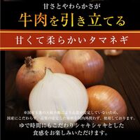 松屋 乳酸菌入り牛めしの具10個セット