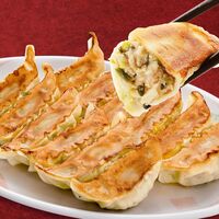 栃木 「宇都宮餃子館」 お店で人気の宇都宮餃子6種セット