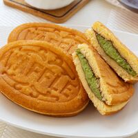 岡山 創業明治四年 「福井堂」 ワッフル 抹茶10個セット