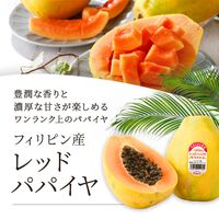 レッドパパイヤ 6玉