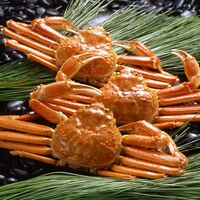 ボイルずわいがに姿 450g×3杯