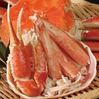 ボイルずわいがに姿 600g×2杯