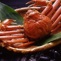 ボイルずわいがに姿 600ｇ×1杯