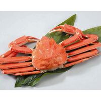 ボイルずわいがに姿 500g×1杯