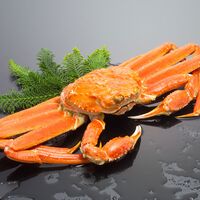 ボイルずわいがに姿 450g×1杯