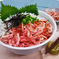 静岡 「石原水産」 駿河湾産 釜揚げ桜えび＆しらすセット C