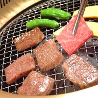 岐阜 「ＪＡひだ」 飛騨牛肩ロース焼肉用 500g