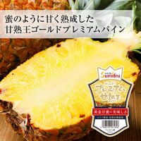 甘熟王ゴールドプレミアムパイン 2玉