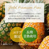 甘熟王ゴールドプレミアムパイン 2玉