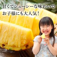 甘熟王ゴールドプレミアムパイン 2玉