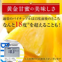 甘熟王ゴールドプレミアムパイン 6玉