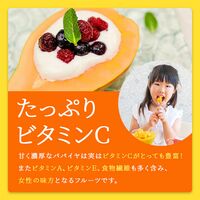 イエローパパイヤ 10玉