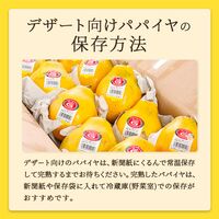 イエローパパイヤ 10玉