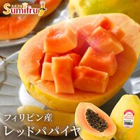 レッドパパイヤ 9玉
