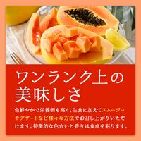 レッドパパイヤ 9玉