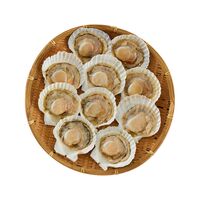 北海道産 帆立片貝 10枚