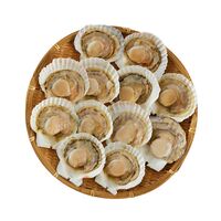 北海道産 帆立片貝 12枚