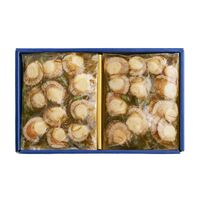 福岡 「博多紀久屋」 ほたてわさび昆布入り