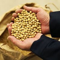 広島 「寺岡有機醸造」 寺岡家の有機醤油・調味料詰合せ