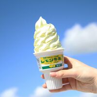 【倉入れ】レモン牛乳ソフト(CS納品)(ケース入数：16,ロット：4)