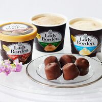 「レディーボーデン」 ギフトセット