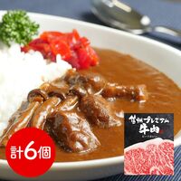 長野 「お肉屋さんのこだわり」 信州プレミアム牛肉ビーフカレー 6個