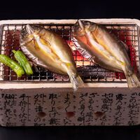 岐阜 創業明治10年 「鵜舞屋」 鮎一夜干し8尾