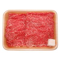 岐阜 「JAひだ」 飛騨牛モモすきやき用 500g