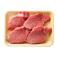 岐阜 「JAひだ」 飛騨牛ヒレステーキ用 400g