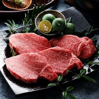 岐阜 「JAひだ」 飛騨牛ヒレステーキ用 400g