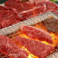 東京・人形町 「日山」 山形牛モモ焼肉用 300g