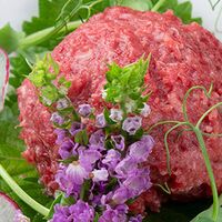 桜うまトロ＆馬肉ユッケ