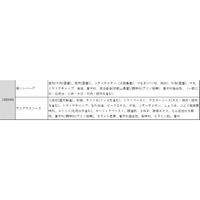 大阪 「夢一喜」 国産牛・豚肉使用 焼ハンバーグ 6食