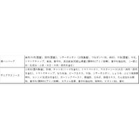 大阪 「夢一喜」 国産牛・豚肉使用 焼ハンバーグ 10食