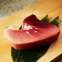 静岡焼津 天然南まぐろ ブロック(大トロ付)500g