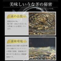 松屋 カット鰻5人前