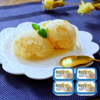 【倉入れ】北海道バニラ 2000ml×4個 (CS納品)(ケース入数：4,ロット：1)