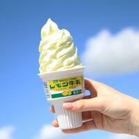 レモン牛乳カップ・ソフト各6個セット